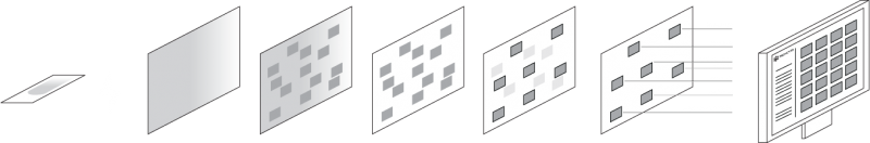 techcyte-workflow
