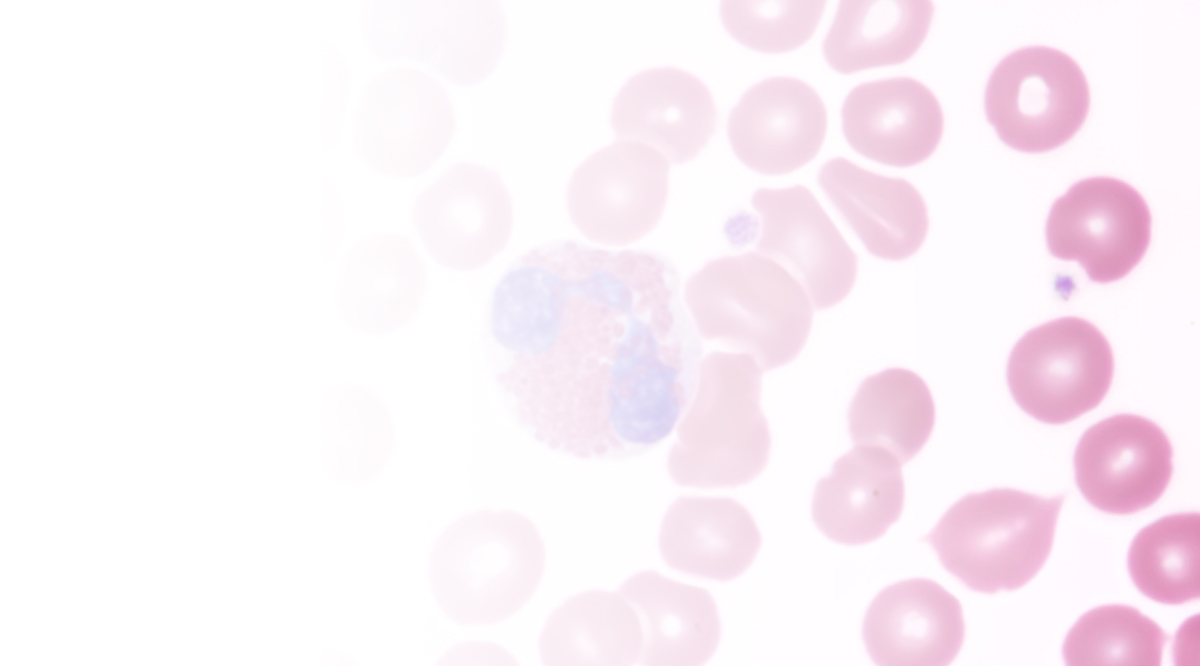 complete blood count digital differential cells