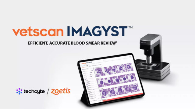 vetscan blood smear review interface